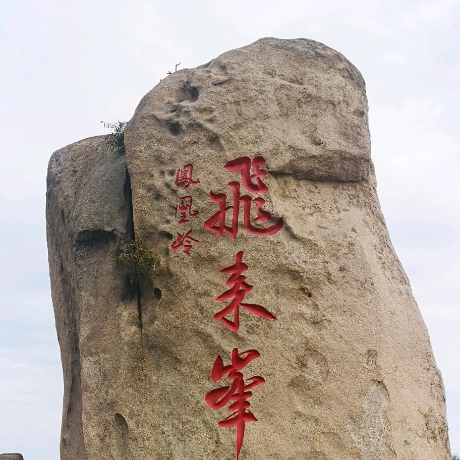 屈子骚客