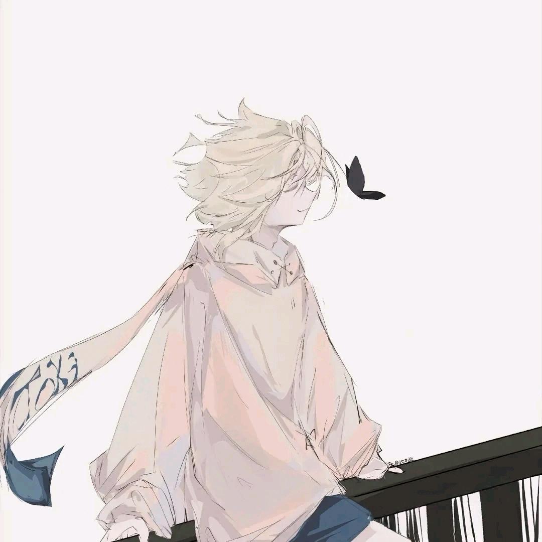 口袋里的星星糖