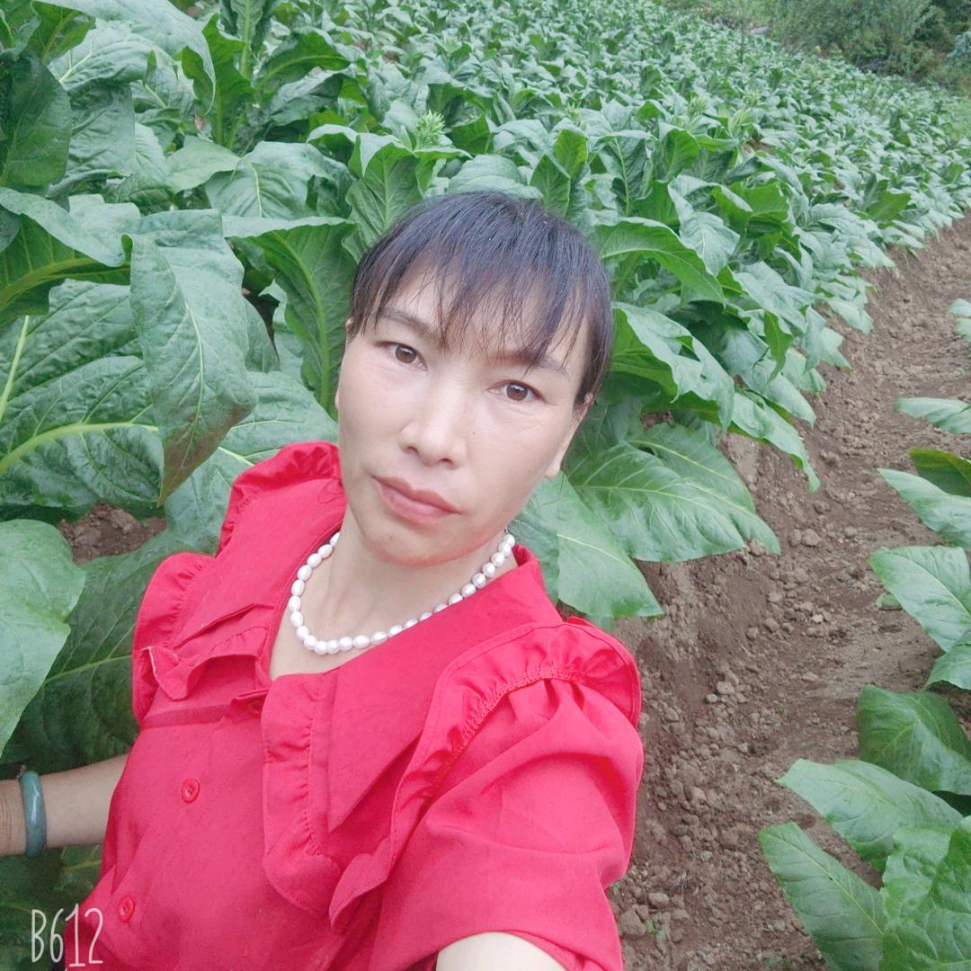 秦姐姐