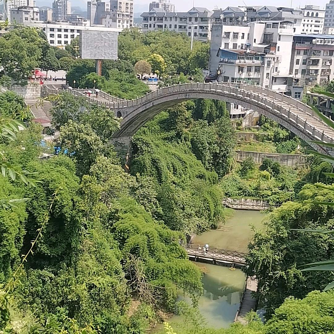 不变的情缘
