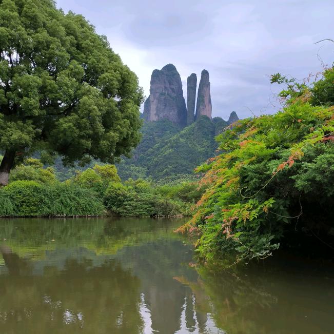 A一非遗传承周金明宝郎风根艺