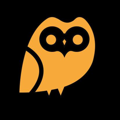 OWL-洞洞鞋