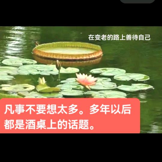 迟暮残存余温