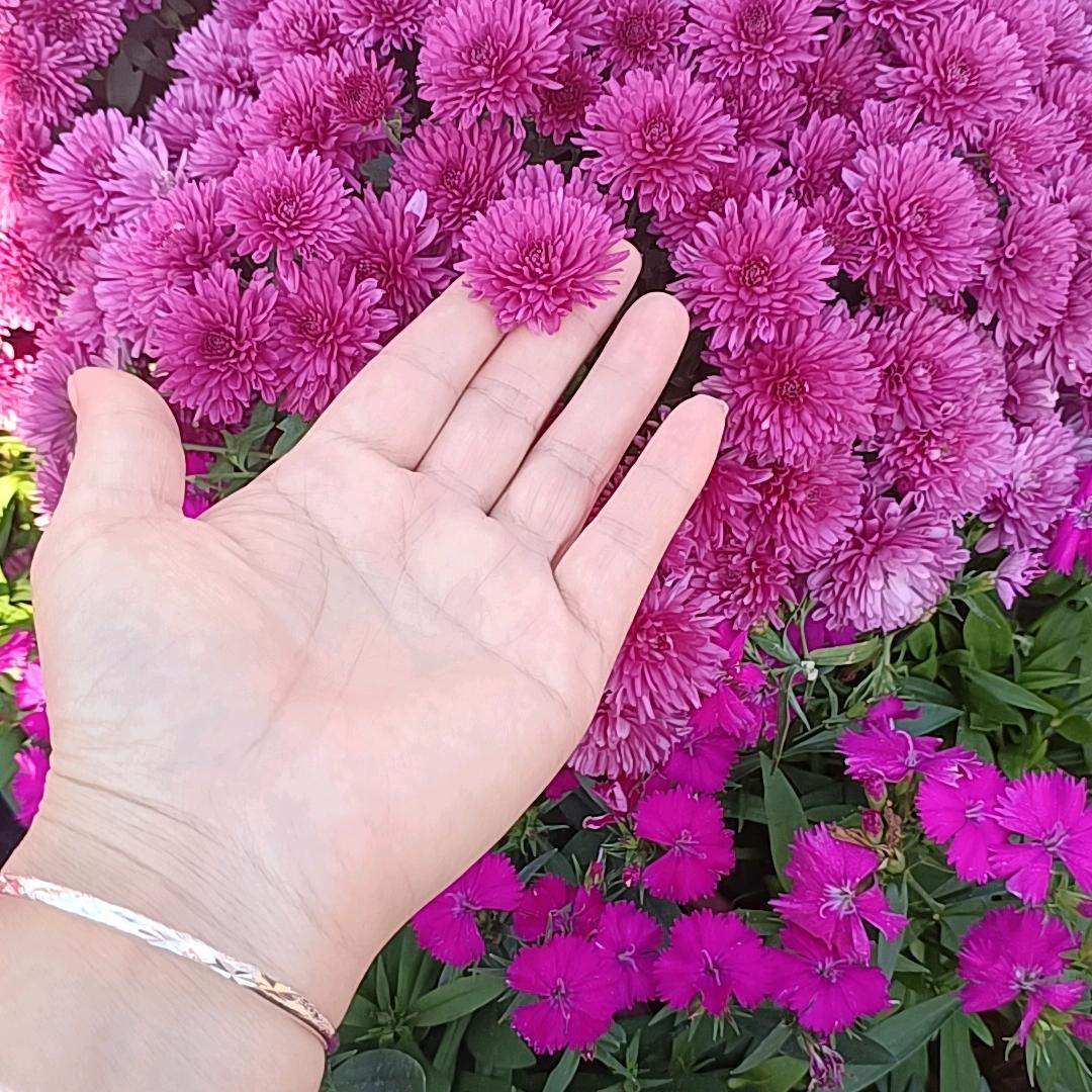 成功靠自己努力