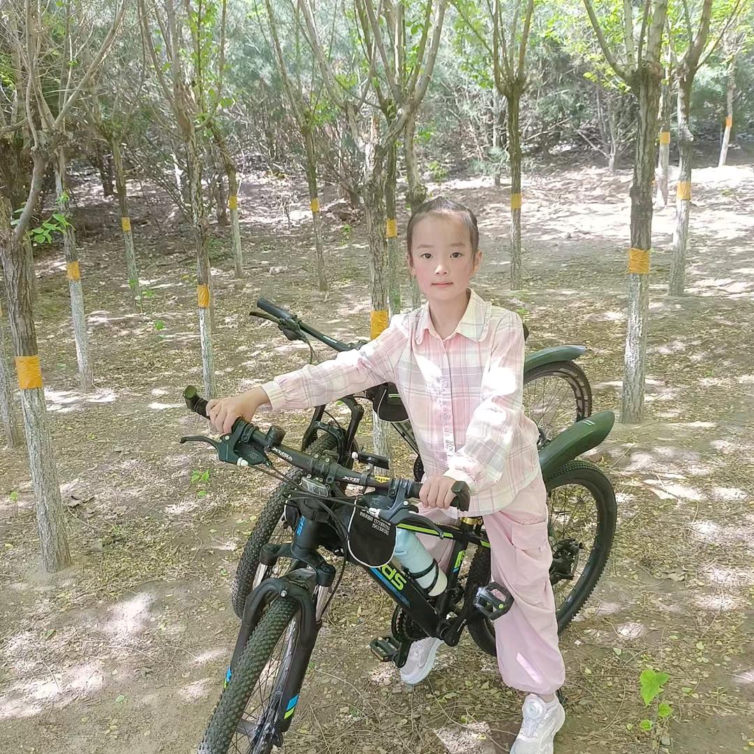 红叶飘飘