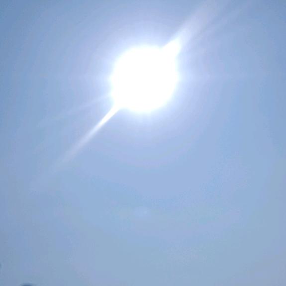 我姓李  却永远走不进你心里