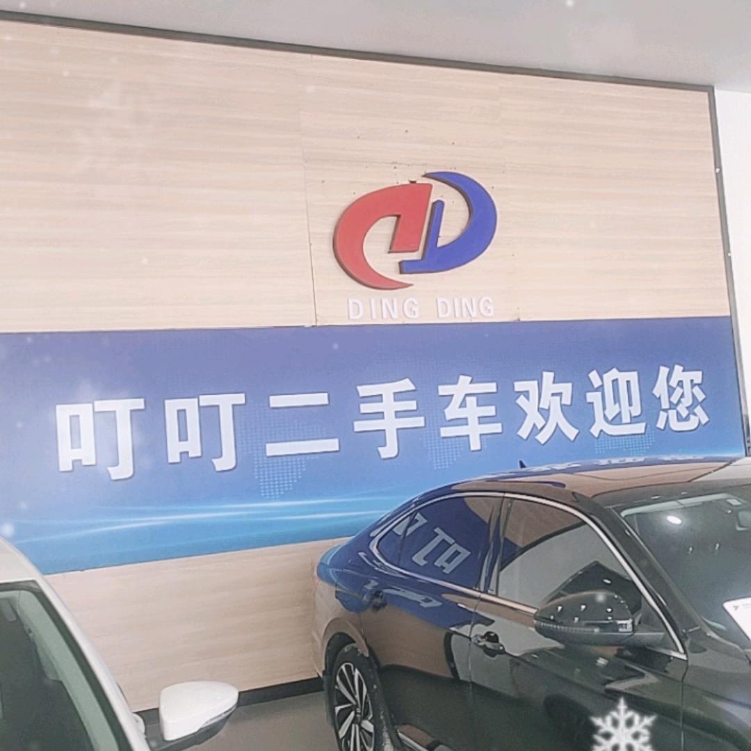 行唐县叮叮二手车有限公司