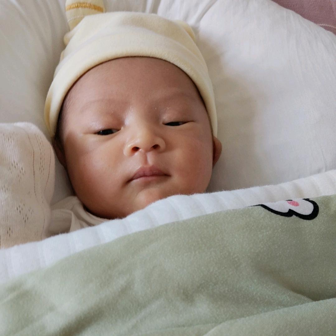 杜大姐