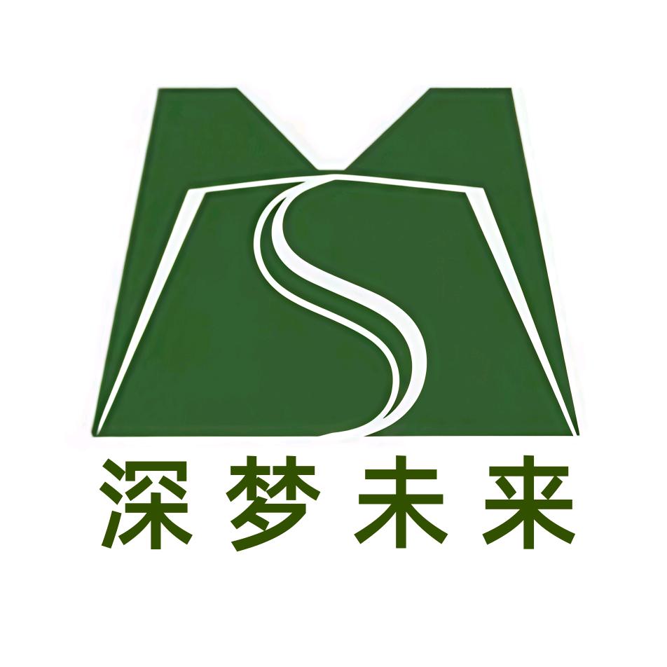 深梦未来