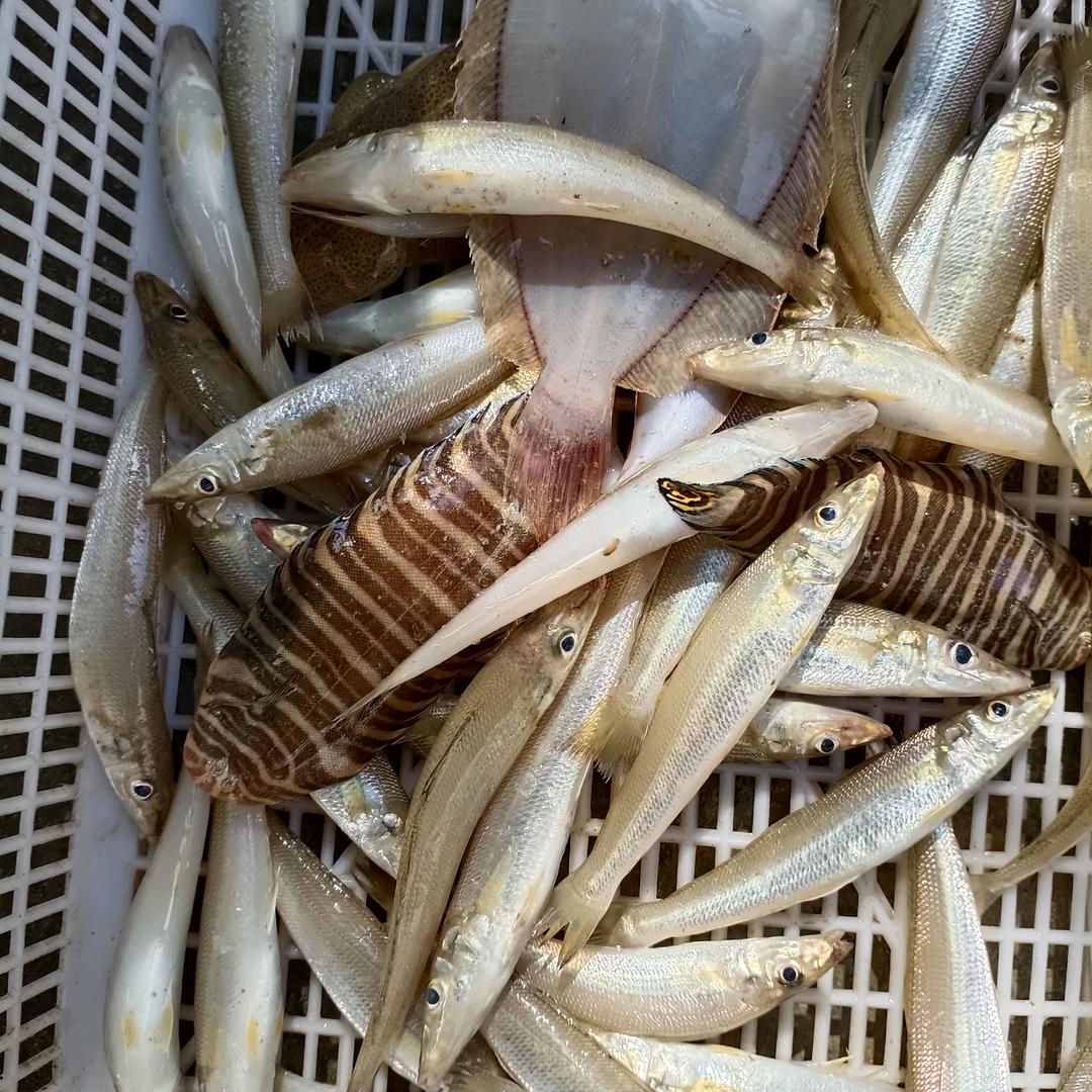 越來越好
