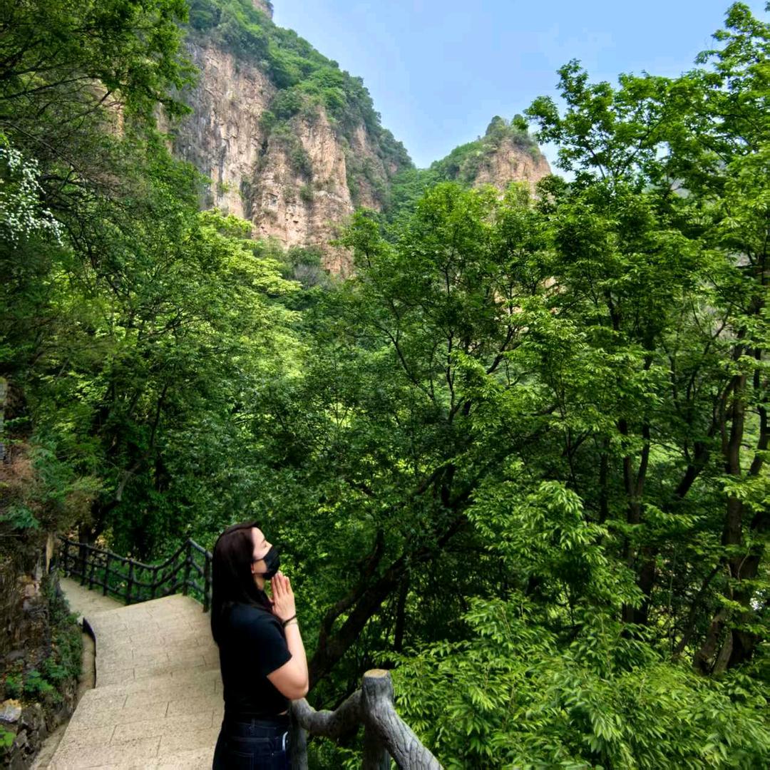 蓝色金星   炭舞    烧烤炭厂家