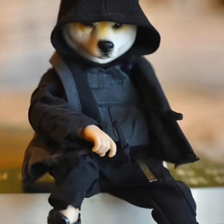 倒骑毛驴看直播