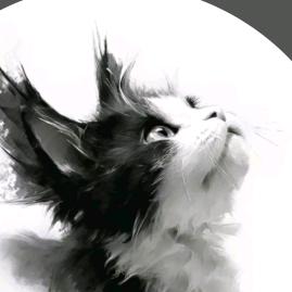 Biscuit Meow