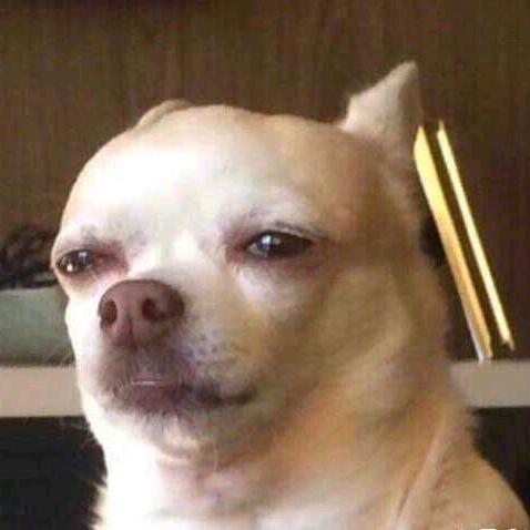 萝千里的江湖梦