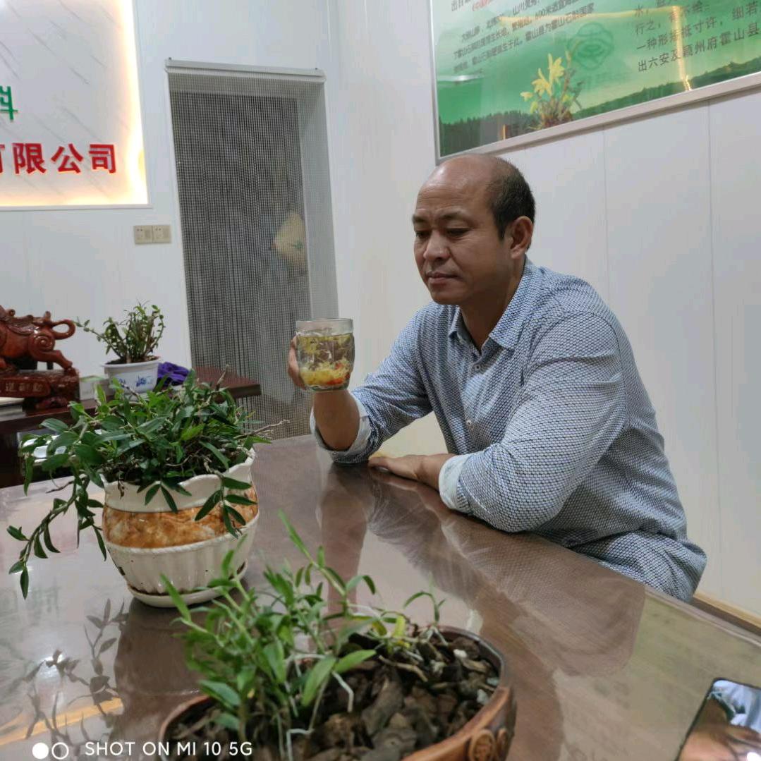 霍山老李石斛