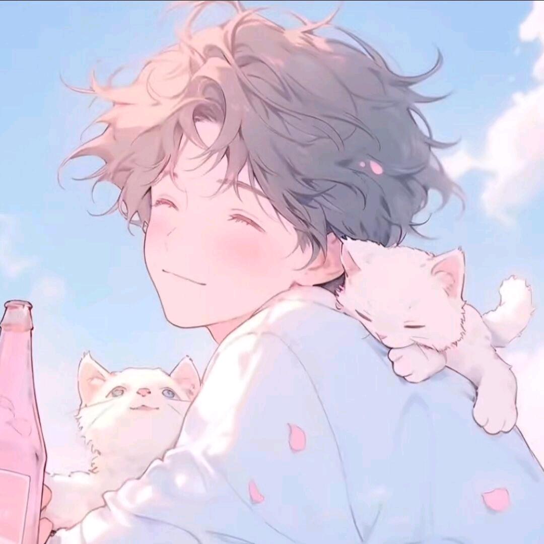 🐾灵猫暖语铺💬