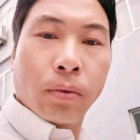 低调哥@党