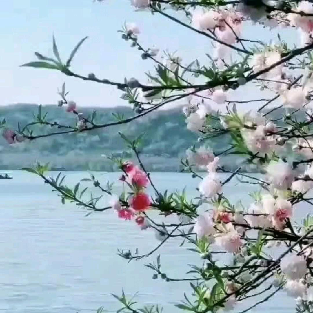 倦掩朦胧