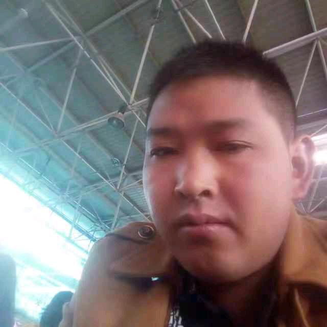 突然想起你
