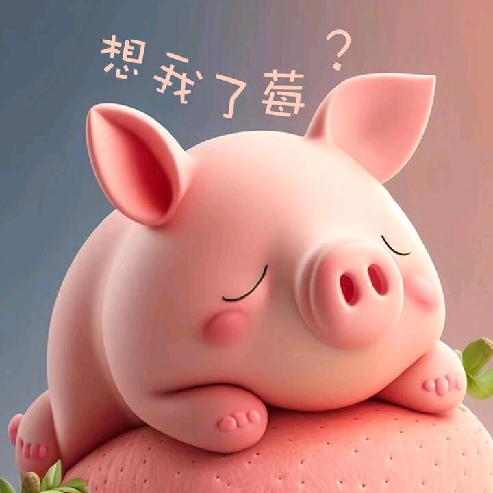 三餐四季