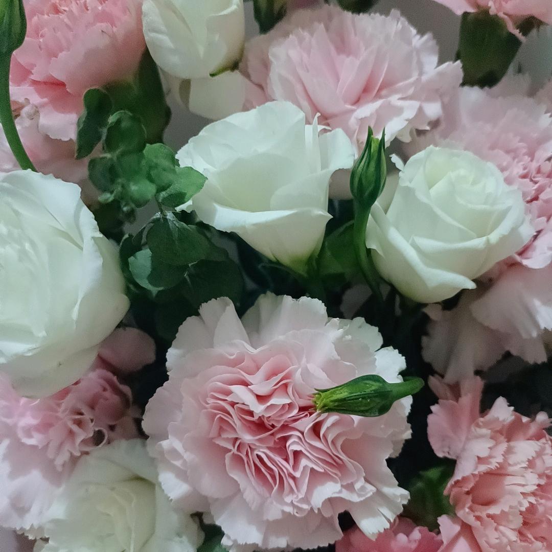 飘洋过海来看你拒绝私聊