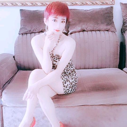 东北虎娘们
