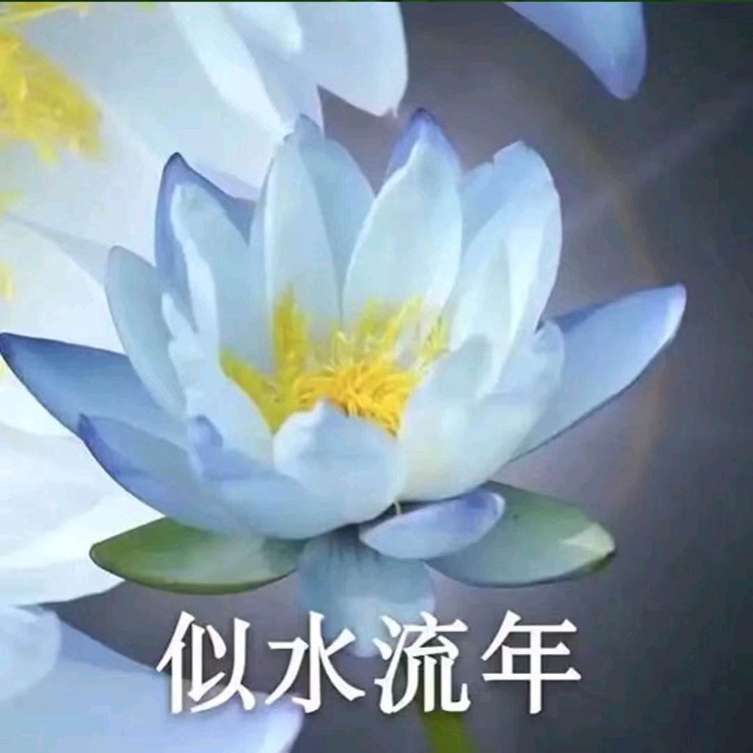 开心快乐🌹