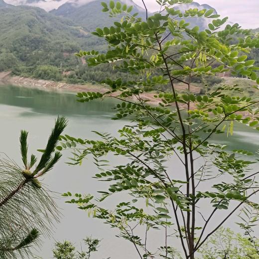 随❤️所意