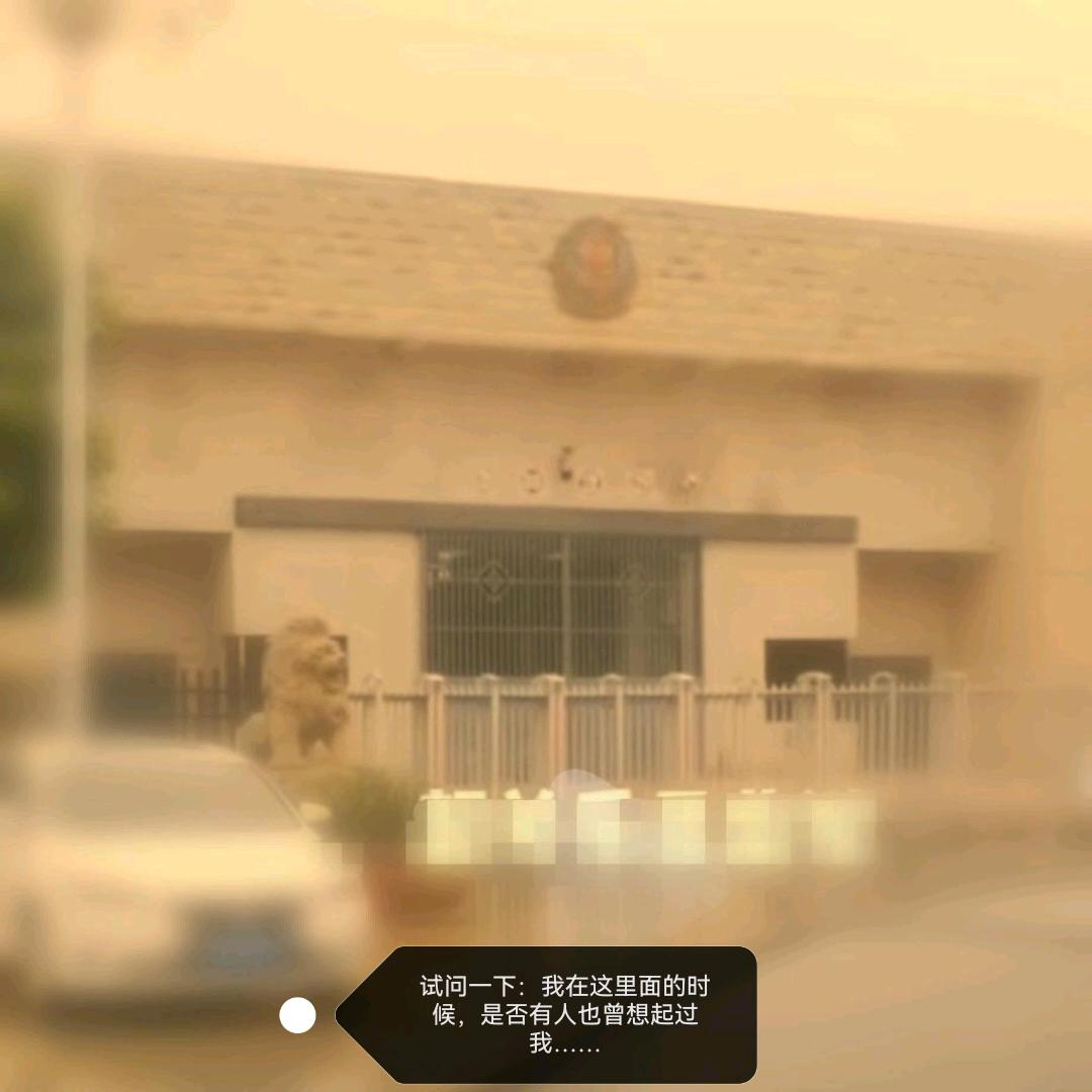 老杨哥