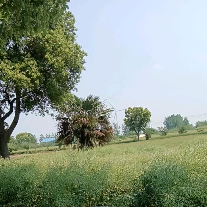 骑着蜗牛闯世界