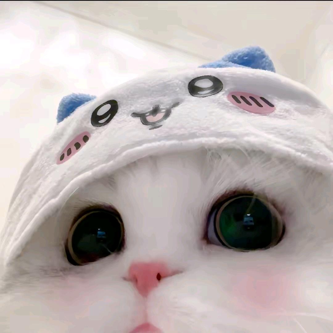 ՞˶˃ ᵕ ˂˶՞੭