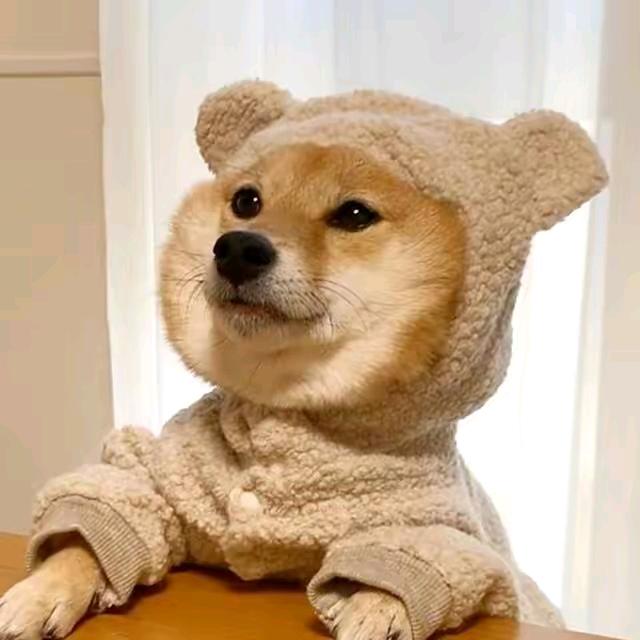 一只小怪兽