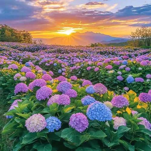 是娜娜吖☀
