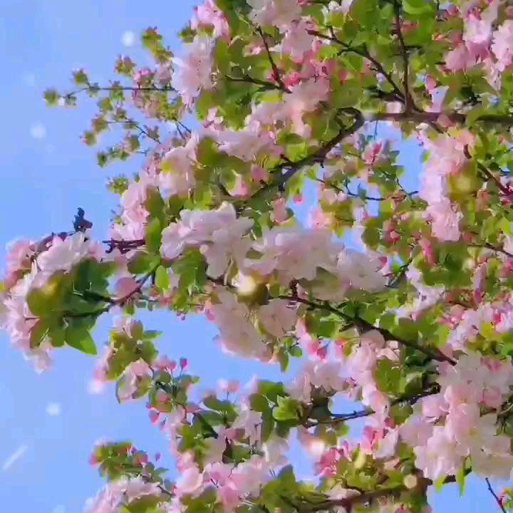 日亚不惊