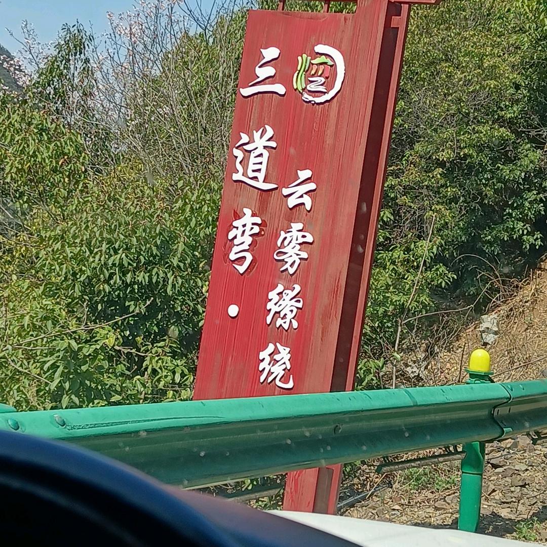 全世界流浪