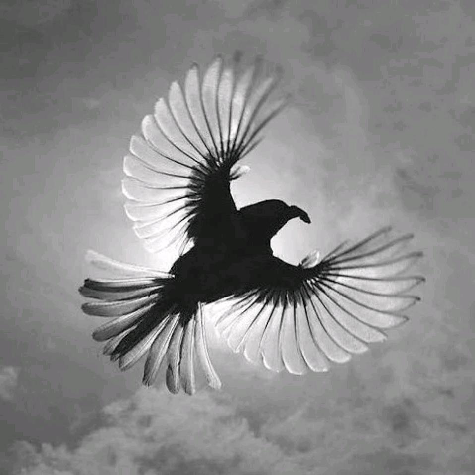 裴͜❀҉着你࿐