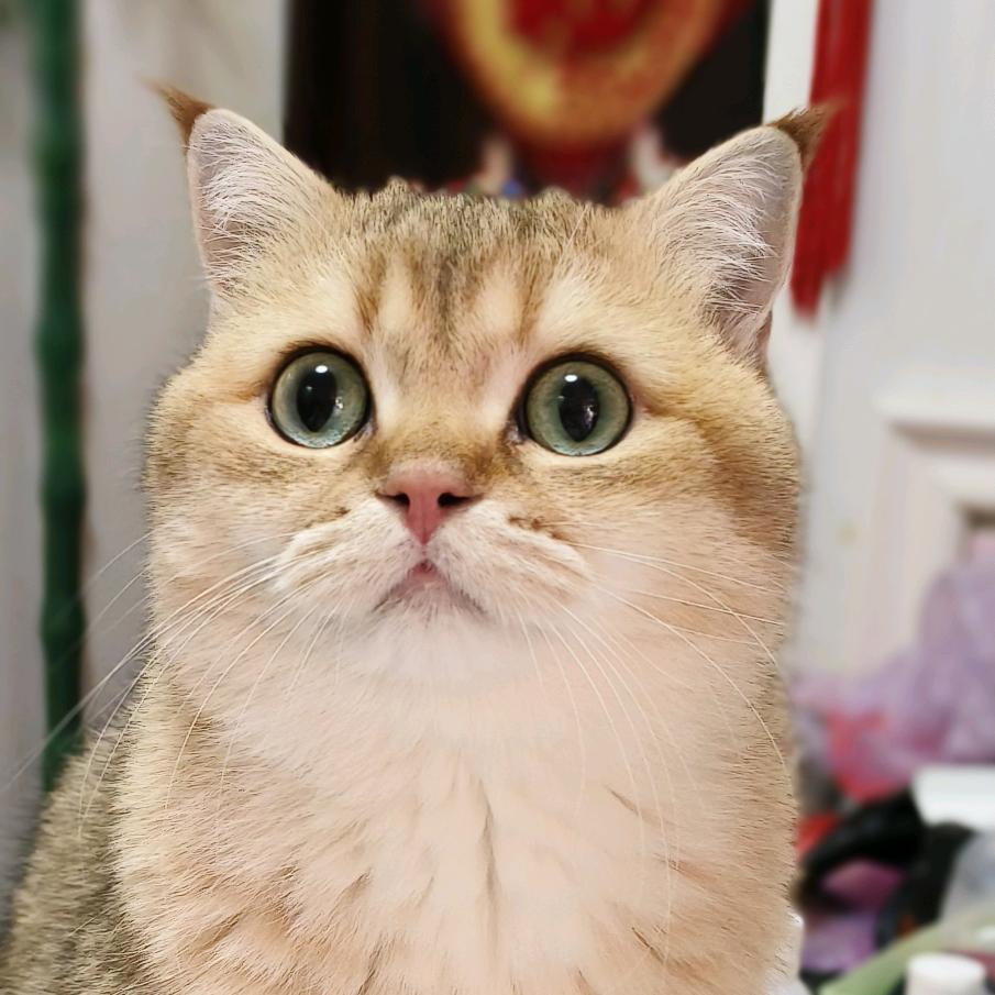 ♥Miss Ren☺璐PLus