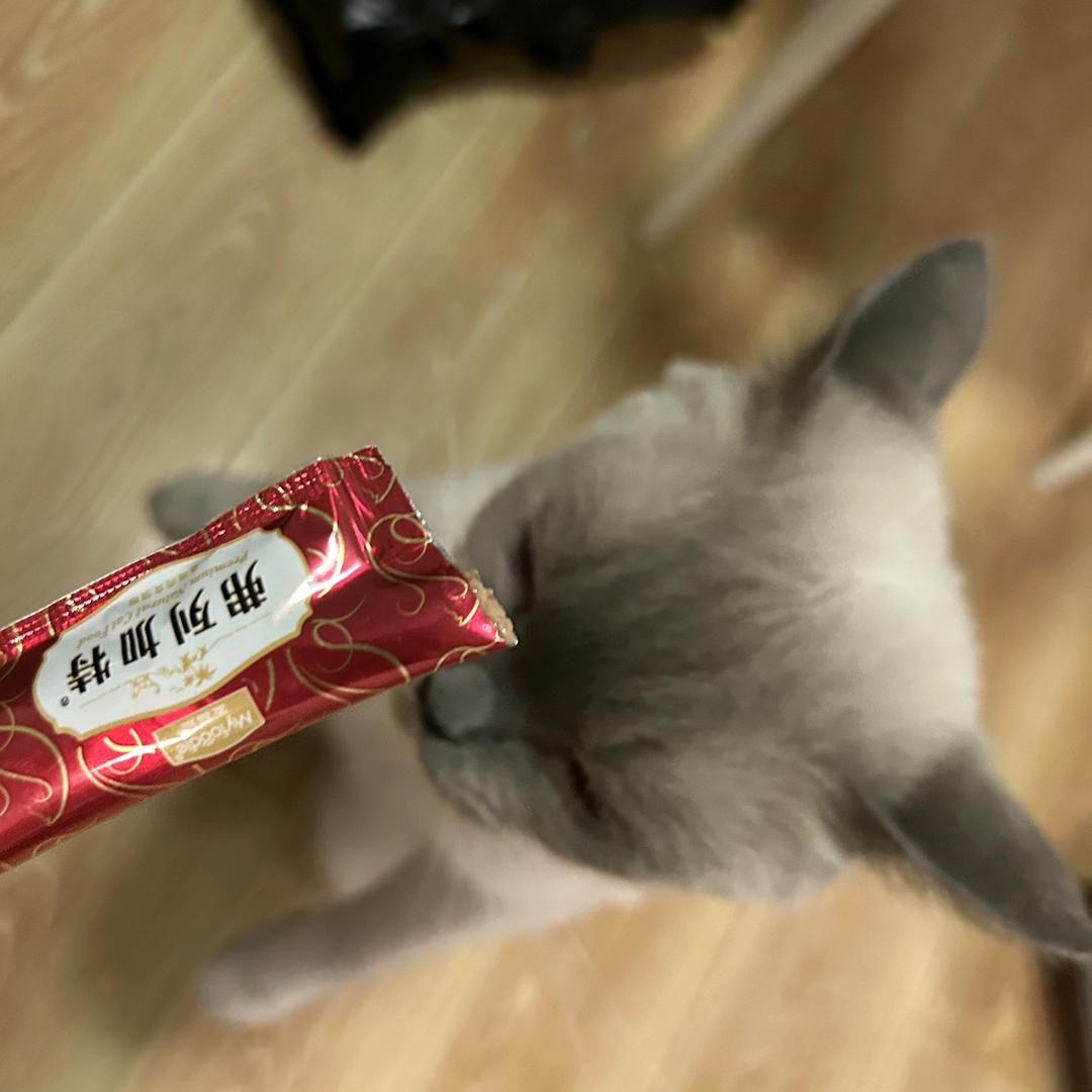 点解就喺咁犀利