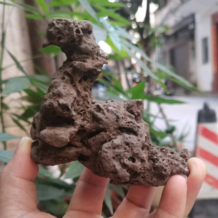 广西太湖石