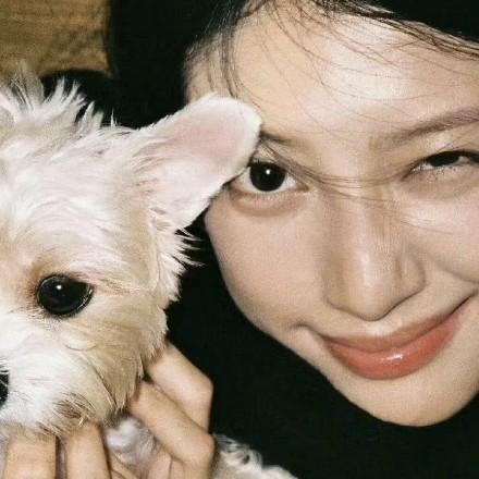 不吃香菜