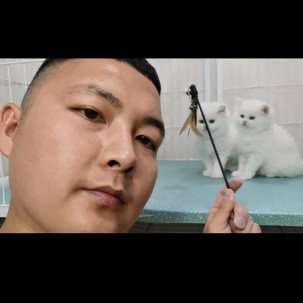 大胜哥说猫