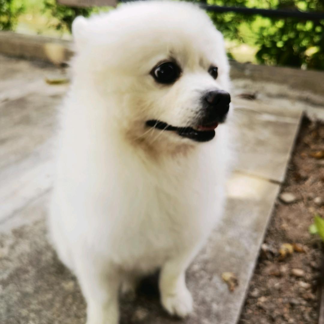 小熊熊