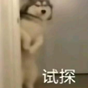用户名26519835头像