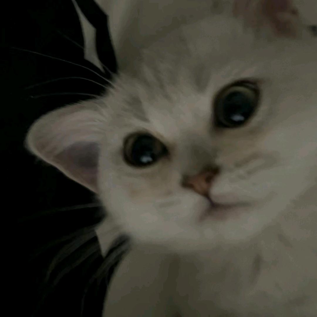 邻家大哥