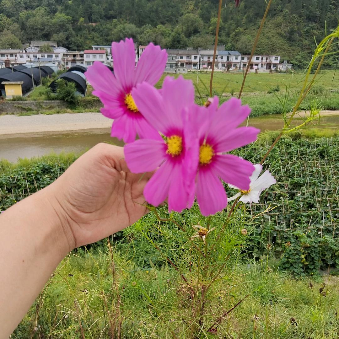 记忆格式化