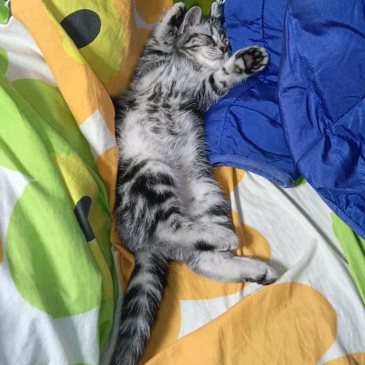 🤡🤡🤡（闪电）