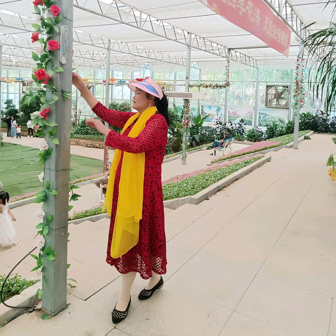 人的一生要看淡🐠🐠🍎🍎