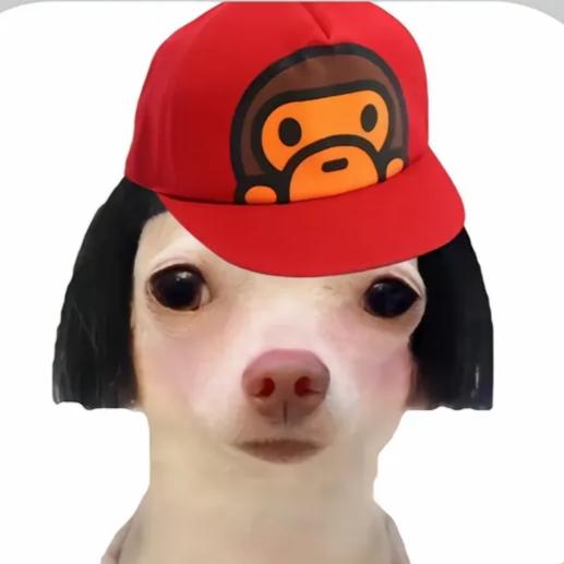 余奕伽