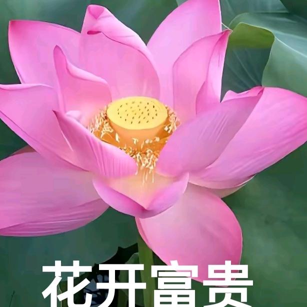 凤阿三