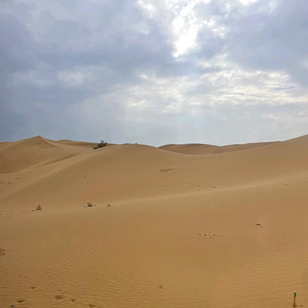 韭零后（记录）